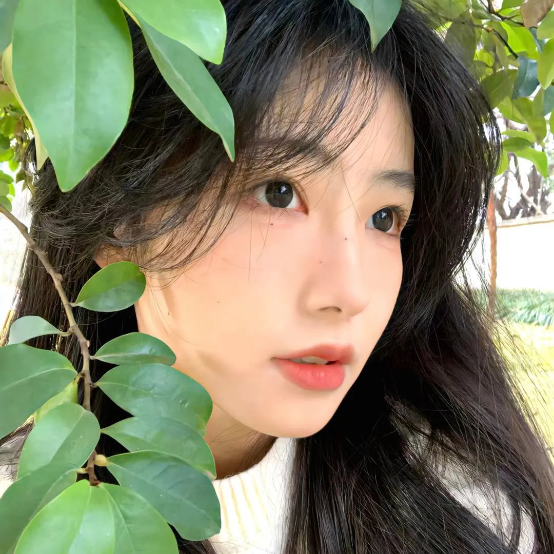 燕赵刑警